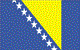 Bosnia and Herzegovina flag