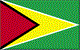 Guyana flag